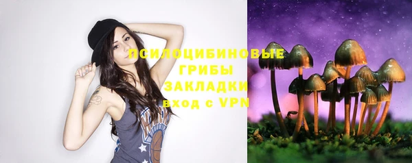 apvp Янаул