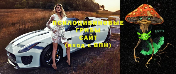 спиды Инта
