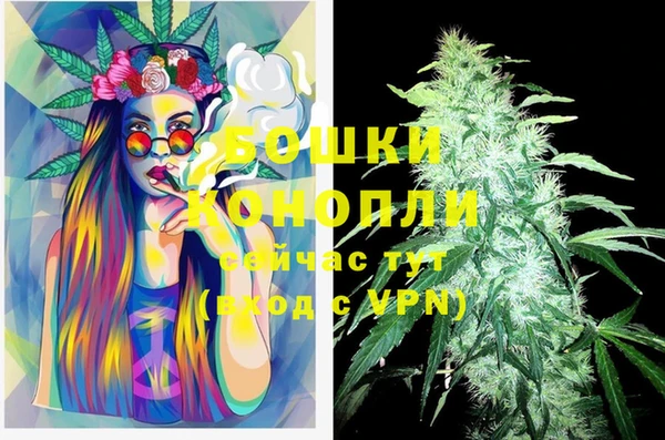 молекула духа Кущёвская