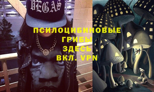 меф Щучье