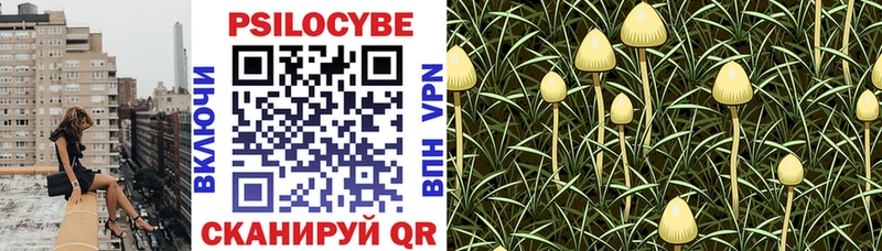 Псилоцибиновые грибы MAGIC MUSHROOMS  Железногорск 