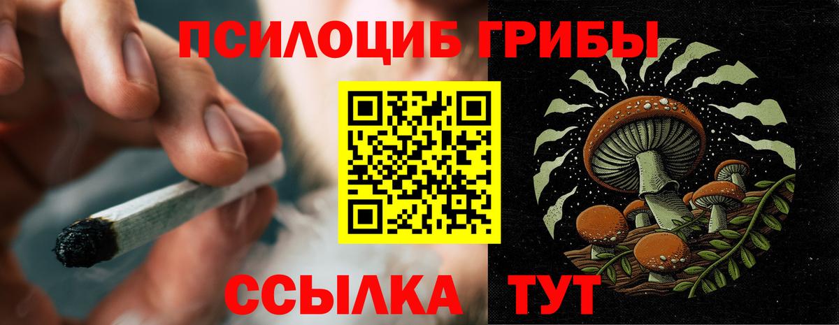 Галлюциногенные грибы мухоморы Железногорск