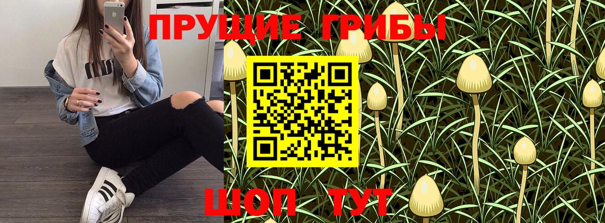 магазин    Железногорск  Псилоцибиновые грибы мицелий 